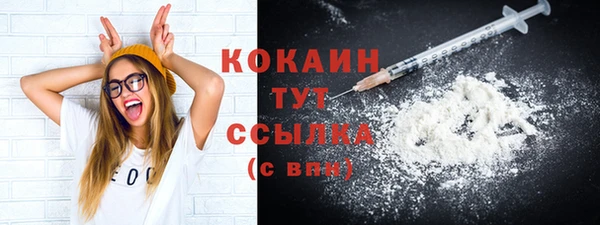 твердый Новозыбков