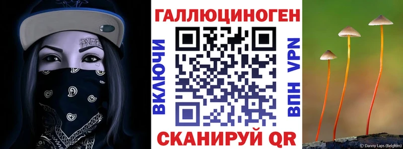 Галлюциногенные грибы GOLDEN TEACHER  blacksprut маркетплейс  Богородск 